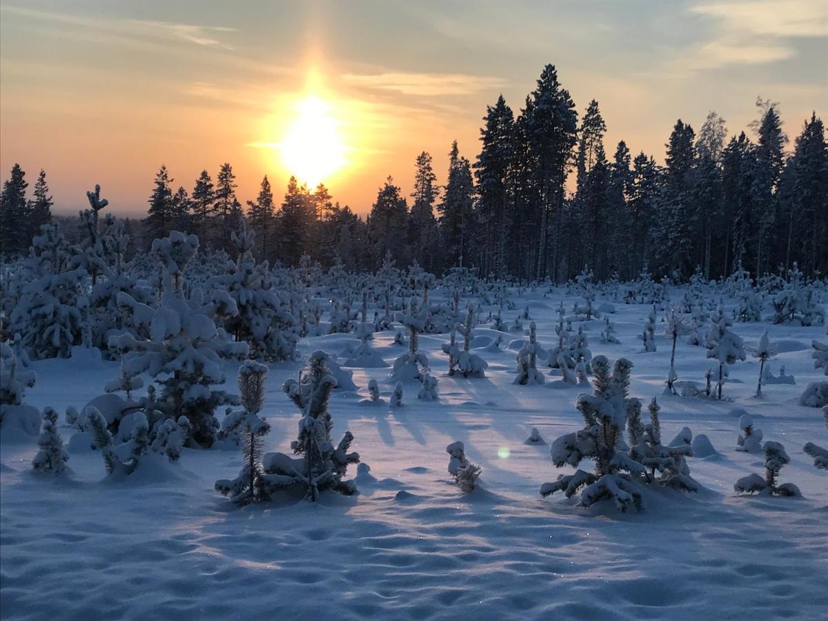 Апартаменты Soppela Retreat At The Arctic Circle Кемиярви Экстерьер фото